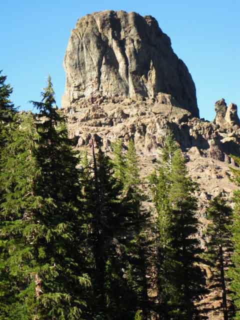 Great Plug rises above forest